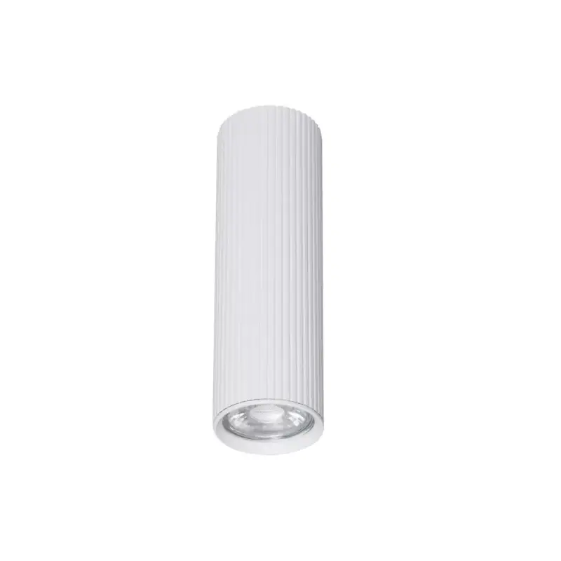 TK LIGHTING DOWNLIGHT SM TUNE 10025 1XGU10 WHITE Vásárlói kedvenc