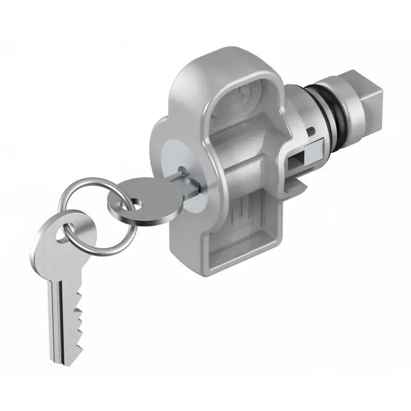 Ajánlat LOCK MECHANISM FOR BOARDS EC625 WITH 2 KEYS