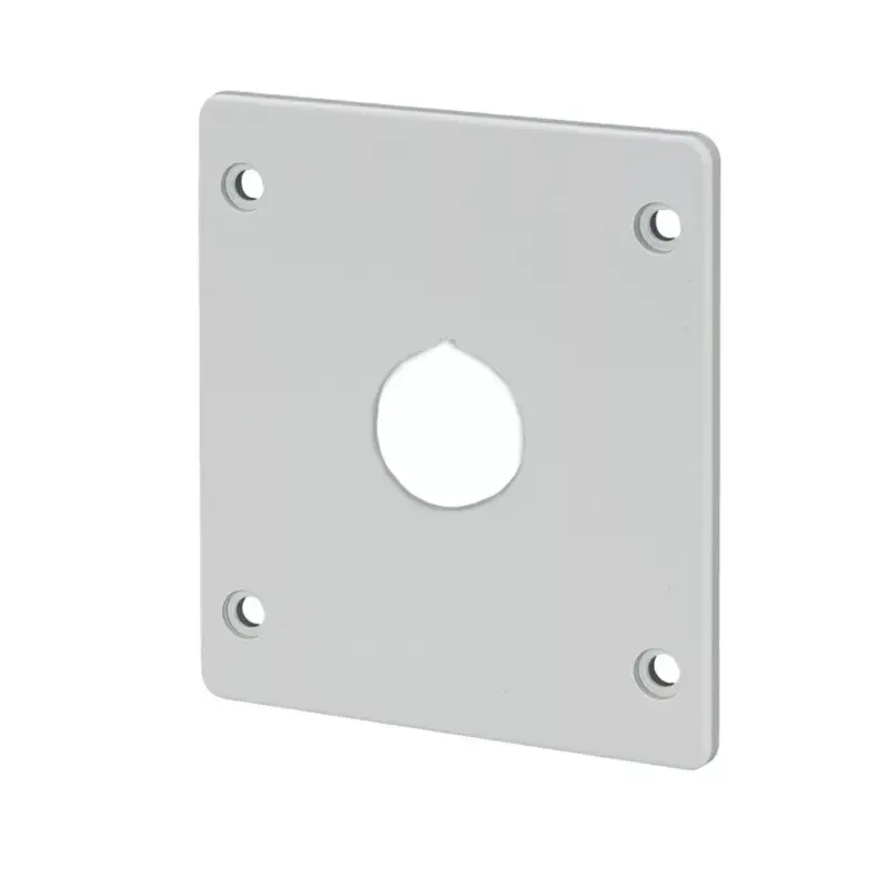 FLANGE FOR IND. BOARD WITH HOLE D22MM- 84X74MM Expressz szállítás