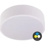 Fehér mennyezeti LED-lámpa, gömbölyű, 500mm, 48W, CCT Szezonális akció