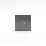 Azonnal elérhető Z-Switch 1-es (1G) kis üveg kapcsoló panel Szürke