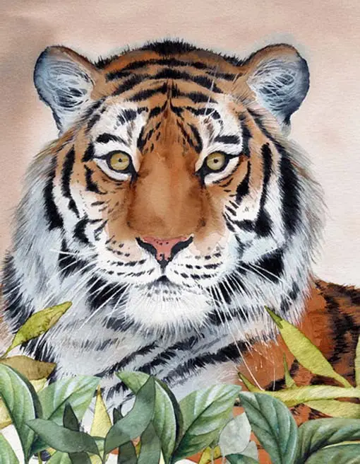 Figyelő tigris - vászonkép Legjobb ár
