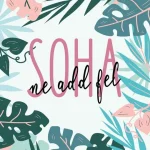 Soha - motivációs vászonkép Kihagyhatatlan ajánlat