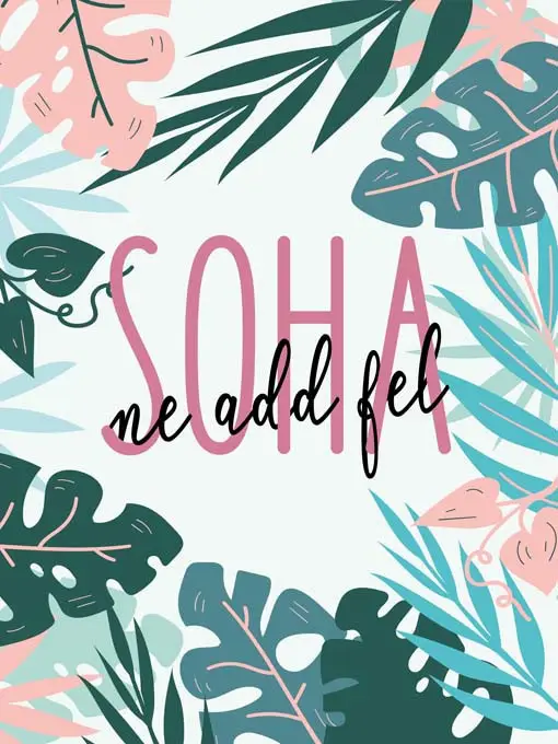 Soha - motivációs vászonkép Kihagyhatatlan ajánlat