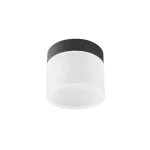 Redo NAIDA fürdőszobai mennyezet lámpa fém, akril, fekete, fehér, LED, 3000K-4000K, 6W, 550lm, IP44 - 01-3359 Rendeld meg most