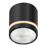 Vedd meg online Azzardo VICI fürdőszobai mennyezet lámpa fém, műanyag, fekete, LED, 3000K-4000K-6000K, 12W, 720lm, IP44 - 6039
