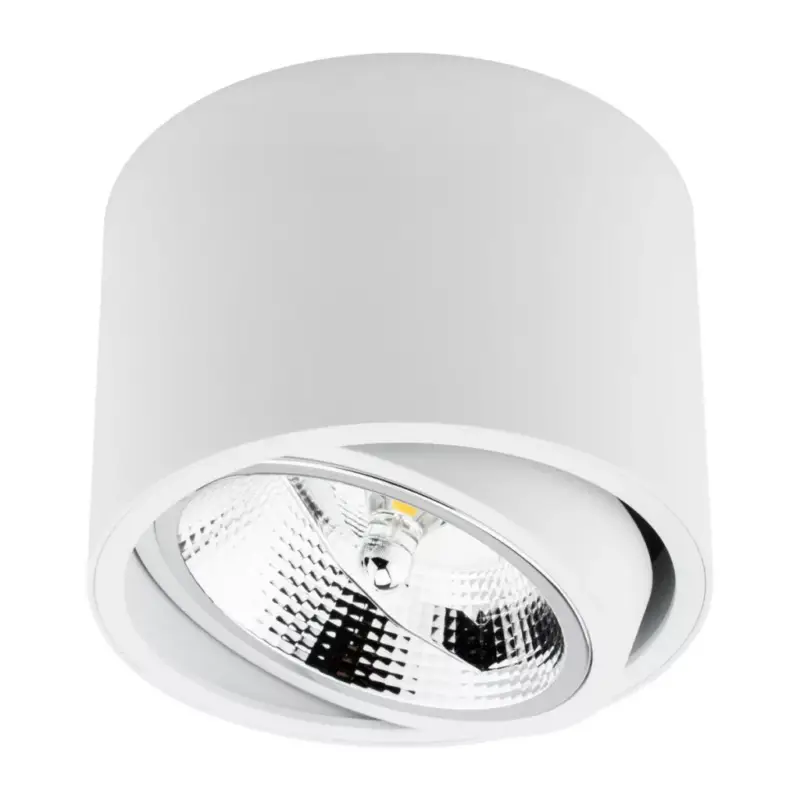 Felületre szerelhető lámpatest HALOGÉN SPOT TUBE Mozgatható GU10 AR111 Kerek Fehér 100mm TELES LUMILED Vásárlói kedvenc