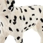 Legjobb ár Dalmata kutya 16838